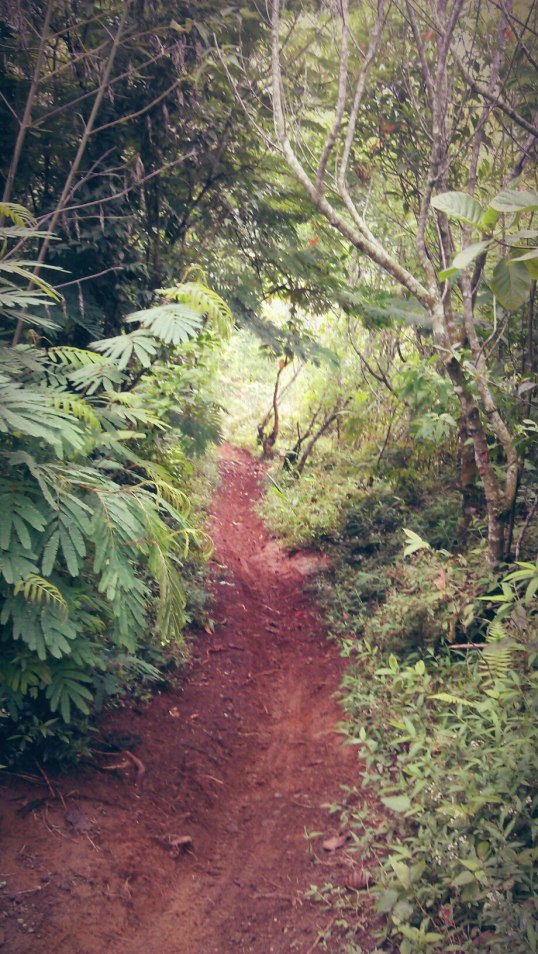 615461_10151101057287274_1961314623_o