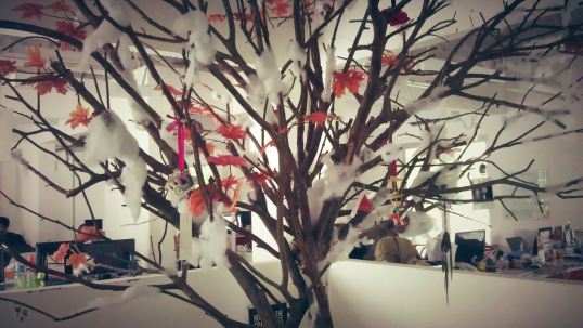 665336_10151140978952274_1929406424_o